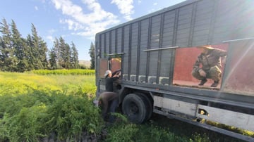 Distribution Almonds from Taza to Ifran 2025 04 28 4