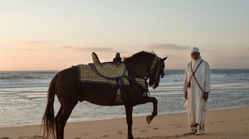 Fantasia cavalier and his horse