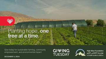 Giving Tuesday Banner 1