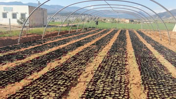 IMG 20210428 074223 1