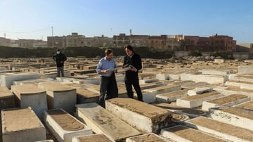 IMG 3998 edited 1 scaled