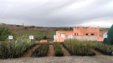 Inaugurating the Solar Pump High Atlas Foundation