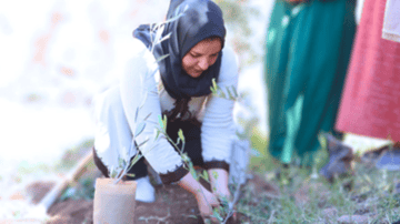 March Program Update 1