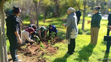 March Program Update 11