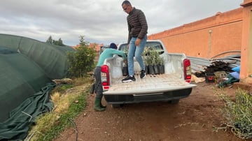 March Program Update 19