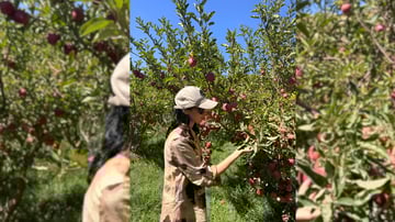 March Program Update 1