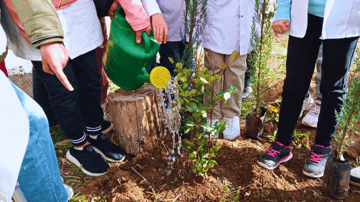 March Program Update 20