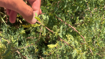 March Program Update 22