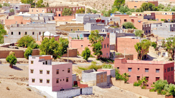 March Program Update 32