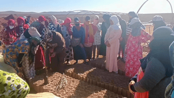 March Program Update 35