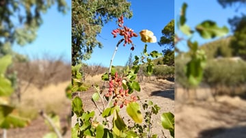 March Program Update 43