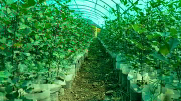 March Program Update