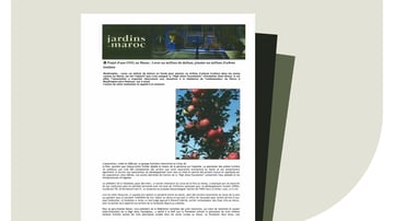 Scanned Articles Thumbnail