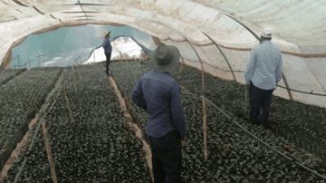 Screen Shot 2021 07 20 at 1 00 10 PM