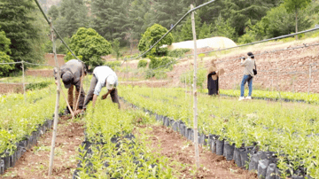 Screen Shot 2021 07 20 at 11 30 57 AM