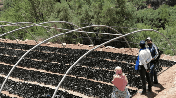 Screen Shot 2021 07 20 at 12 53 42 PM