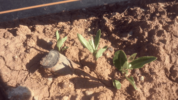 Screenshot 2024 01 24 at 1 00 49 PM