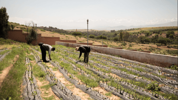 Screenshot 2024 01 24 at 12 24 34 PM