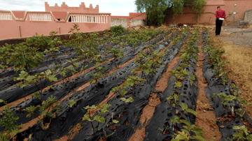 Screenshot 2024 01 25 at 10 59 25 AM