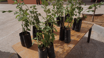 Screenshot 2024 01 25 at 12 16 48 PM