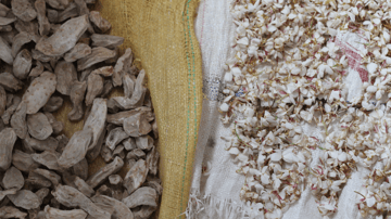 Screenshot 2024 01 26 at 1 37 49 PM