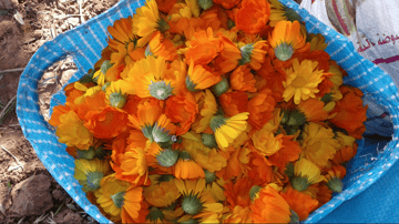 Screenshot 2024 01 26 at 2 05 37 PM