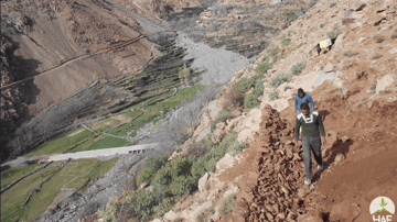 Screenshot 2024 01 29 at 10 56 20 AM