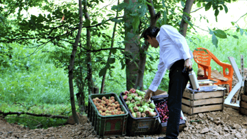 Screenshot 2024 01 29 at 11 08 51 AM