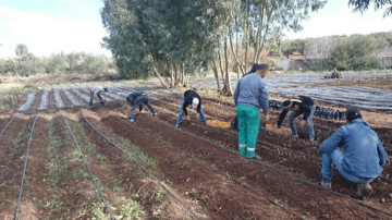 Screenshot 2024 04 08 at 11 41 36 AM