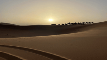 Screenshot 2024 04 08 at 12 23 15 PM