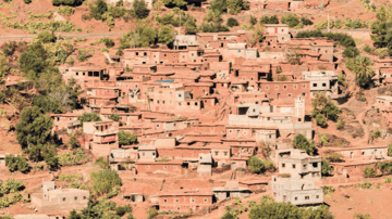 Sustainabiltiy Forward Photo