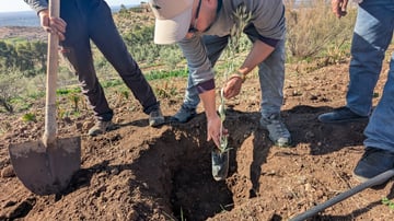 Talat N Mimoun 02 25 60