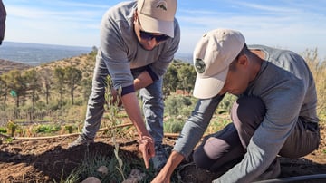 Talat N Mimoun 02 25 92