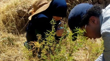 Whats App Image 2019 08 08 at 14 43 08 1