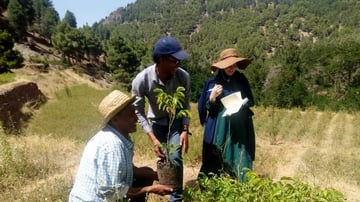 Whats App Image 2019 08 08 at 14 41 49