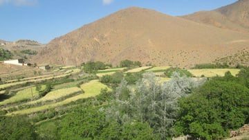 Whats App Image 2021 08 19 at 13 05 27