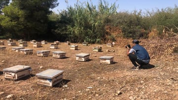 Whats App Image 2021 09 22 at 22 32 58 3