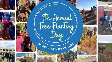 Whats App Image 2023 01 19 at 12 24 17