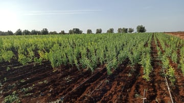 Whats App Image 2024 09 11 at 12 47 47