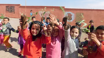 25056790503 d06f42a524 o 1 1