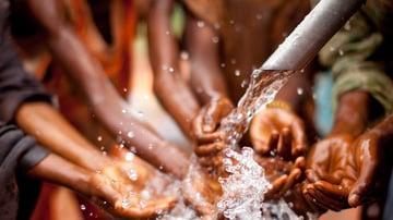 Wsi imageoptim blog 11