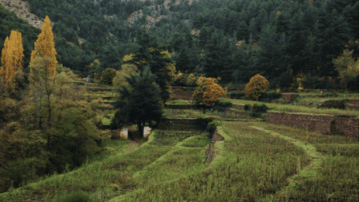 Capture decran 2021 09 15 110509