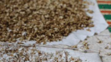 Capture decran 2021 09 15 110846