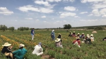 Aboghlou morocco 400x300 300x225