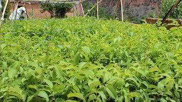 27643905665 8997ab2013 z