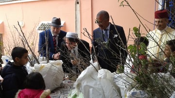 24278660589 7503885942 o min