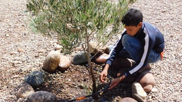 34413539732 01ab6aa4e4 o 1