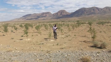 44318769764 a1d88861a7 z