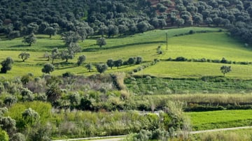 8663104321 4f287eba5b o 1160x480