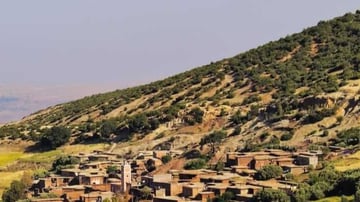 Shutterstock 155759693 800x400